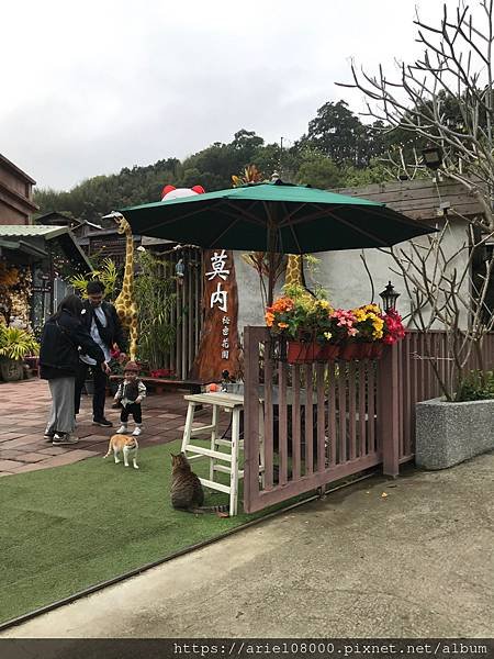 「苗栗縣景點」 莫內秘密花園-苗栗縣-銅鑼鄉