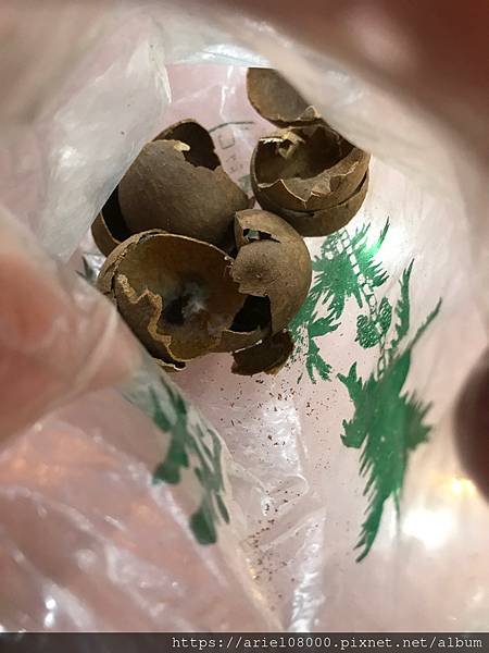 【好姻緣/人緣/仕途/趕小人】-松山霞海城隍廟-松山區-台北