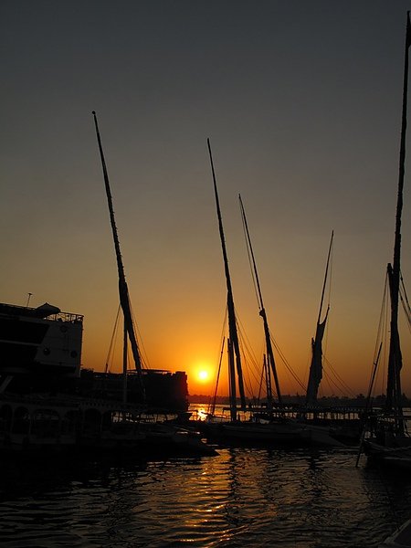 IMG_7375.jpg