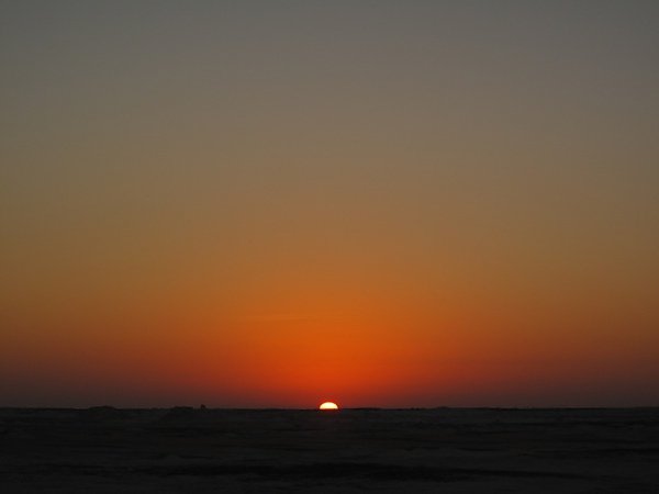 IMG_7950.jpg