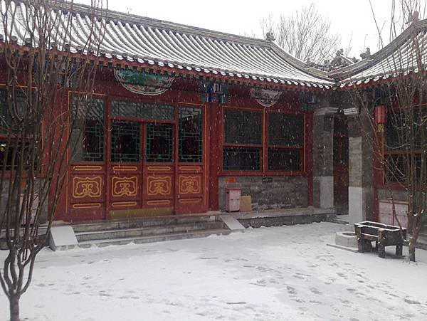 beijing snow (3).jpg