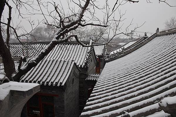 beijing snow (7).JPG