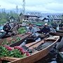 DSC07365.JPG