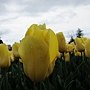 IMG_0823.JPG