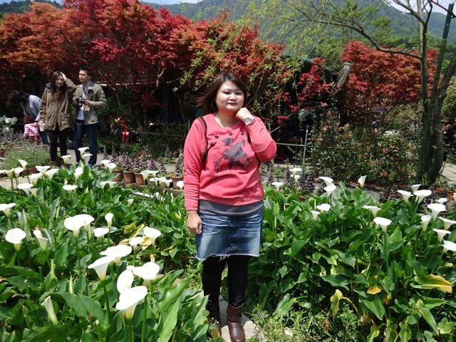 DSC02037