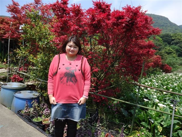 DSC02065