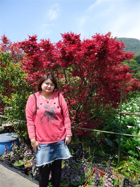 DSC02067