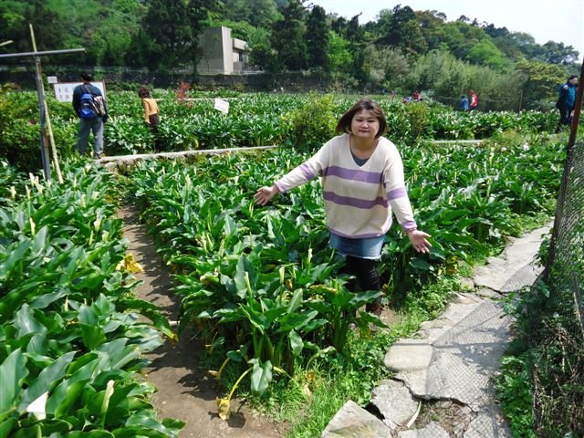 DSC02178