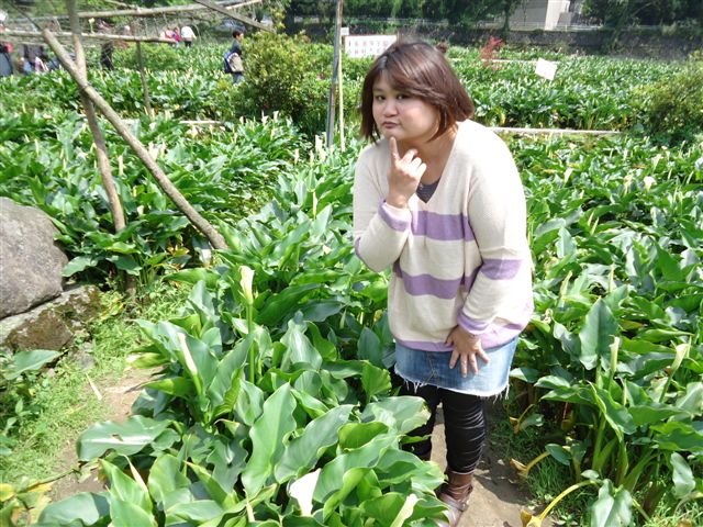 DSC02185