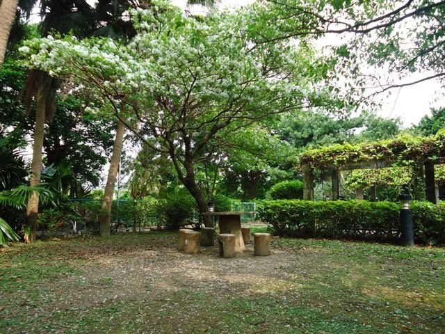 DSC00284.JPG