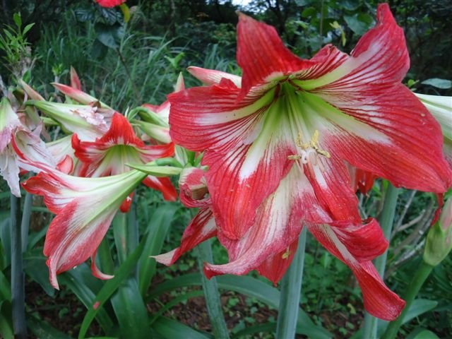DSC02502