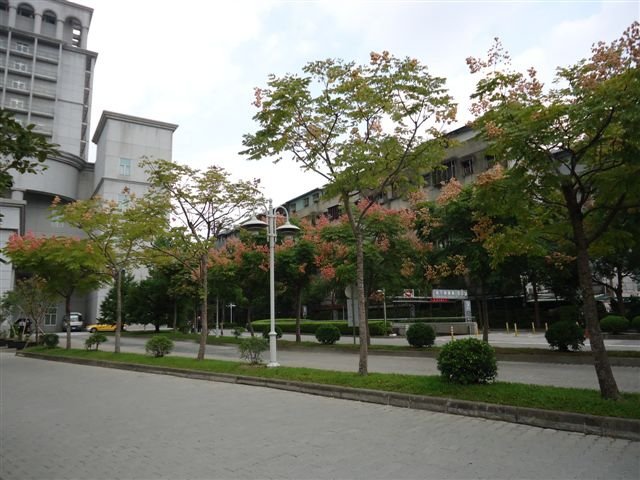 DSC04281.JPG