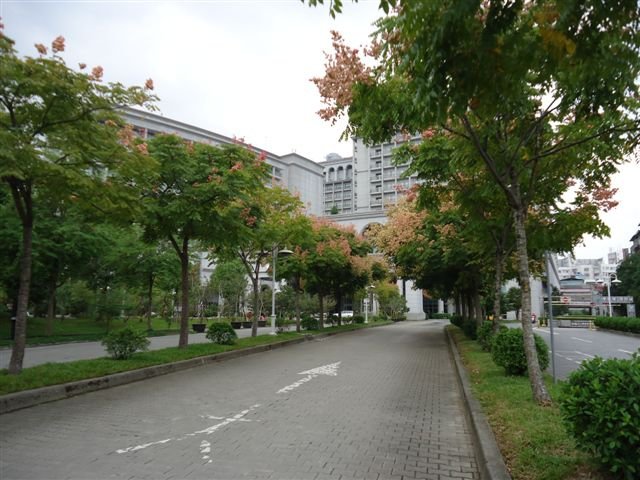 DSC04288.JPG
