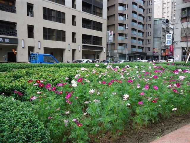 DSC04312.JPG