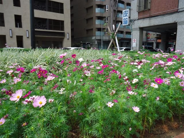 DSC04323.JPG
