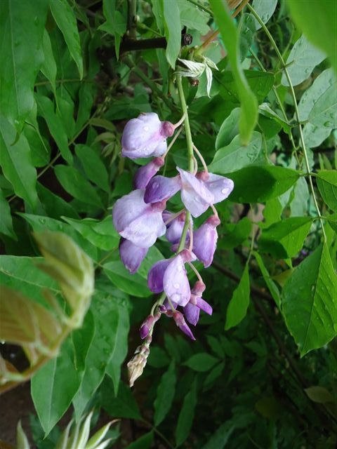 DSC02757.JPG