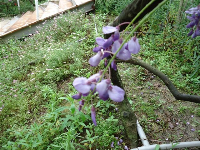 DSC02769.JPG