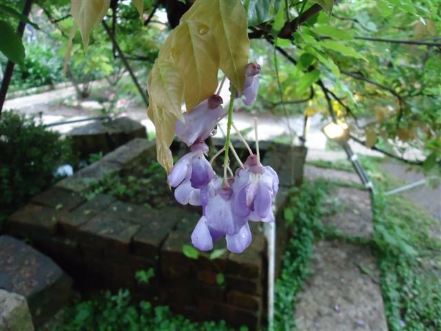 DSC02803.JPG