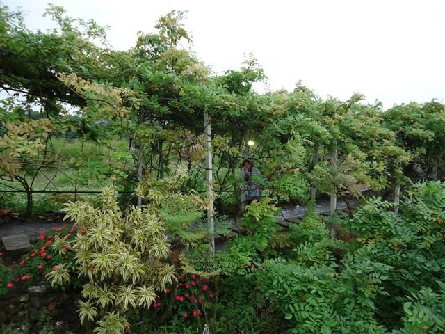 DSC07133.JPG