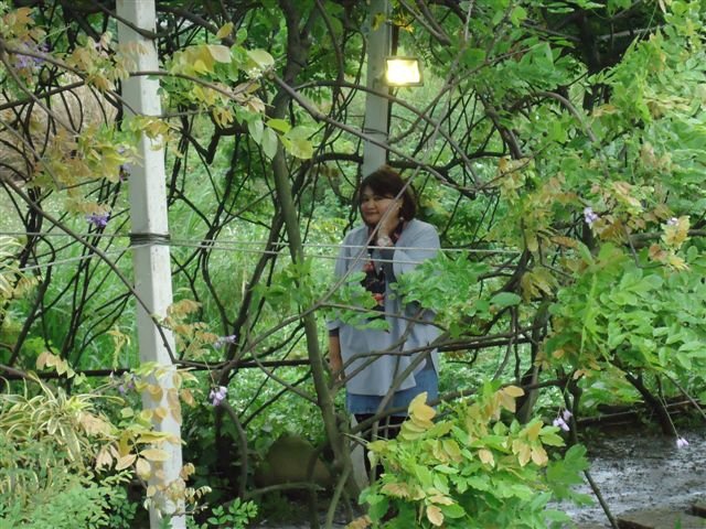 DSC07134.JPG