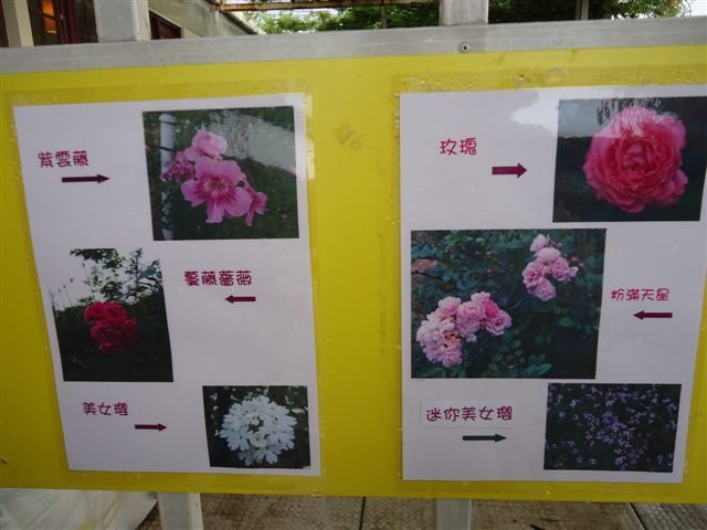 DSC07229.JPG