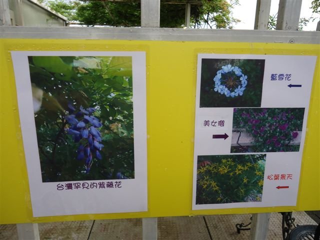 DSC07231.JPG