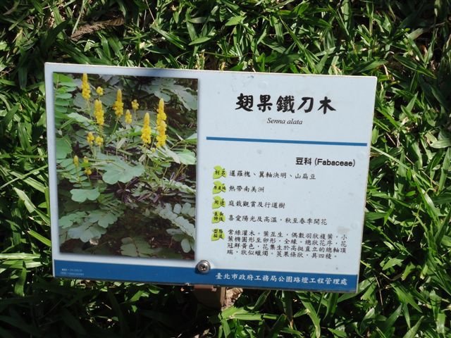 DSC08538.JPG