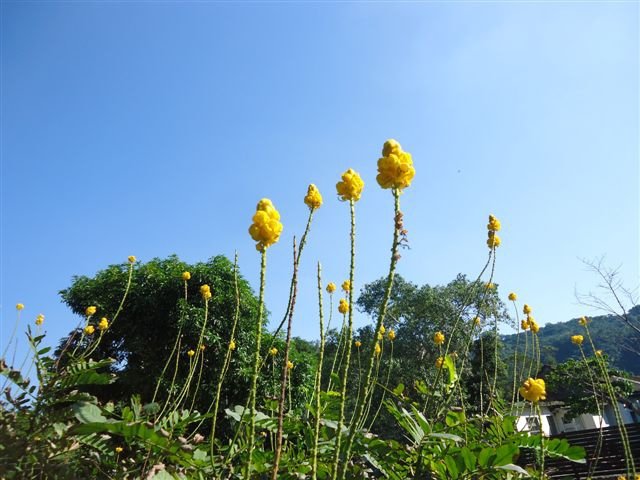 DSC08555.JPG