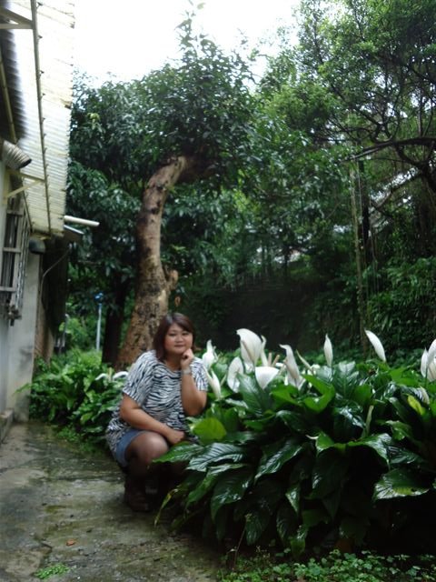 DSC07987.JPG