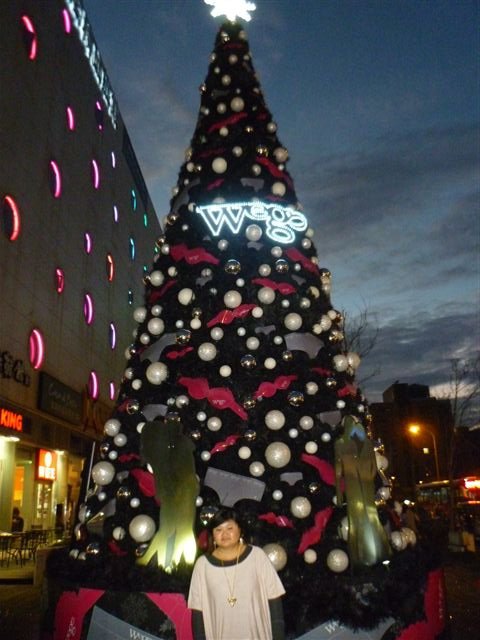 P2060404.JPG