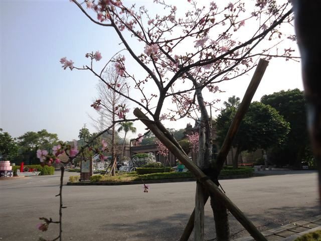 DSC04409