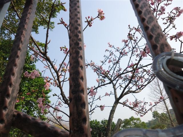 DSC04410