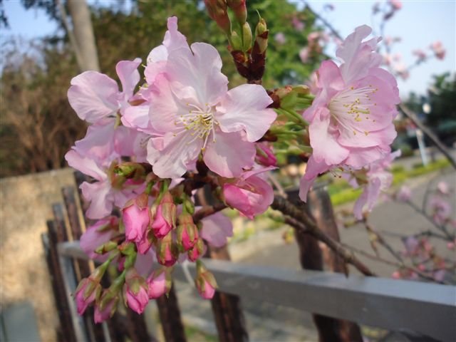 DSC04430