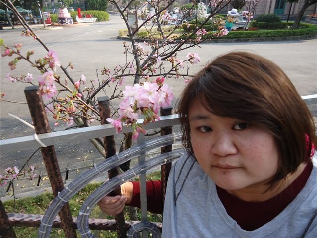 DSC04444