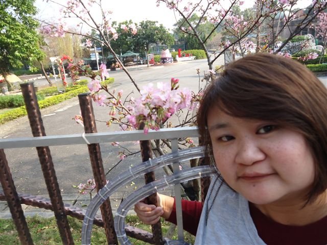 DSC04445