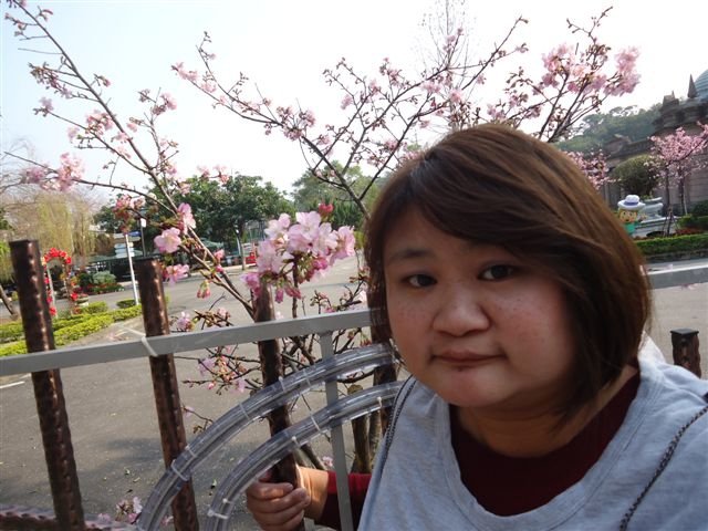 DSC04450