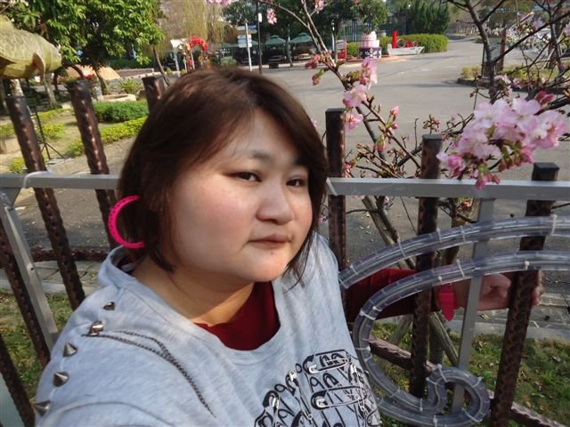 DSC04460