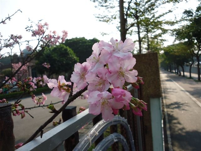 DSC04464