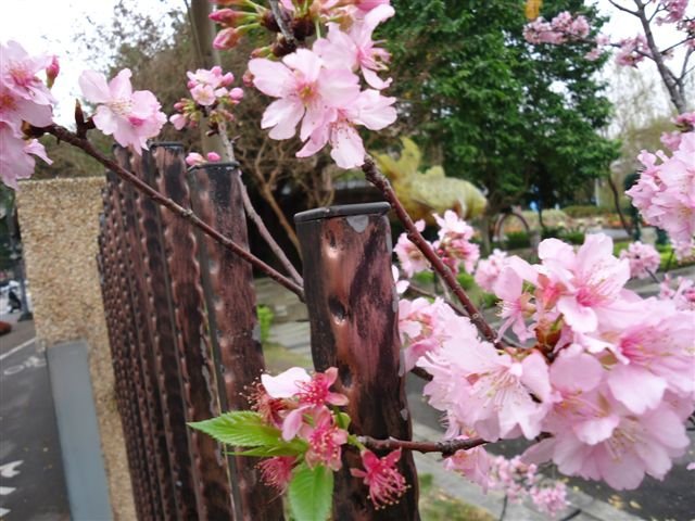 DSC03442.JPG