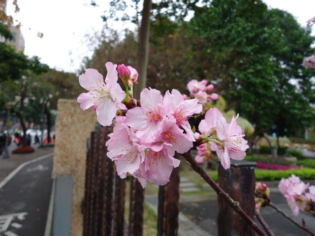 DSC03443.JPG