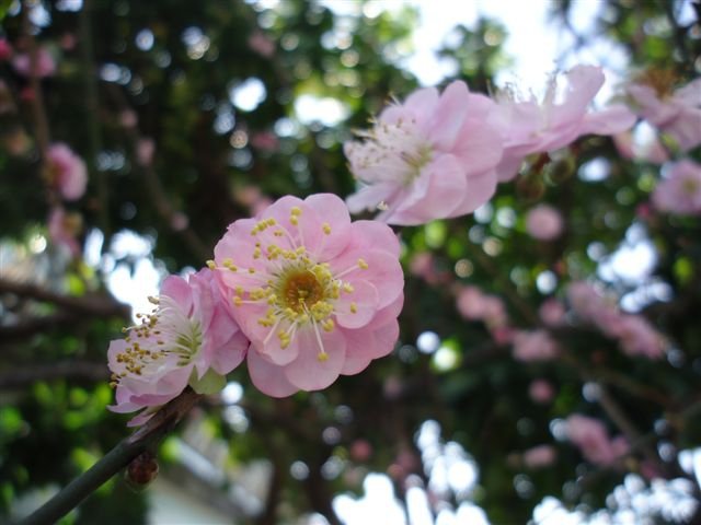 DSC05108.JPG