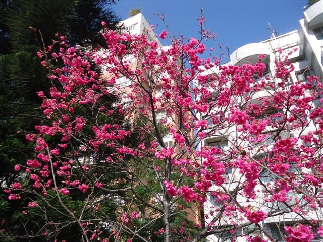DSC05134.JPG