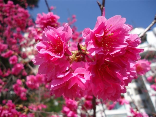 DSC05136.JPG