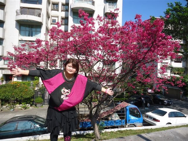 DSC05152.JPG
