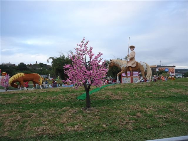 DSC05630