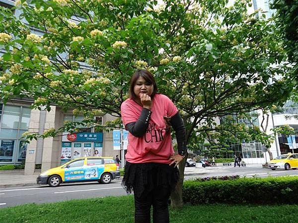 DSC08950.JPG