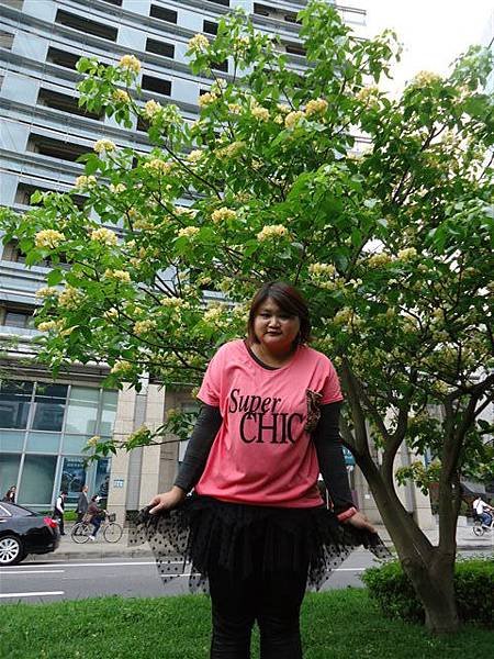 DSC08954.JPG
