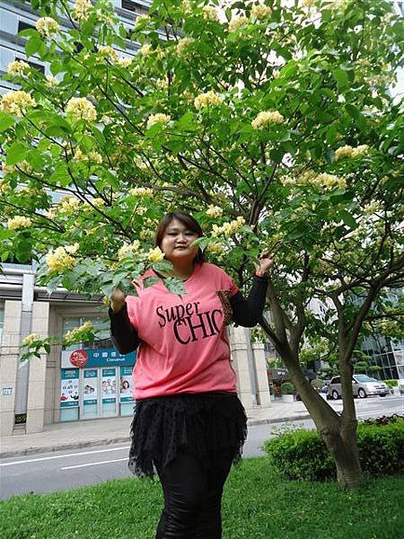 DSC08998.JPG