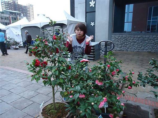 DSC02683.JPG