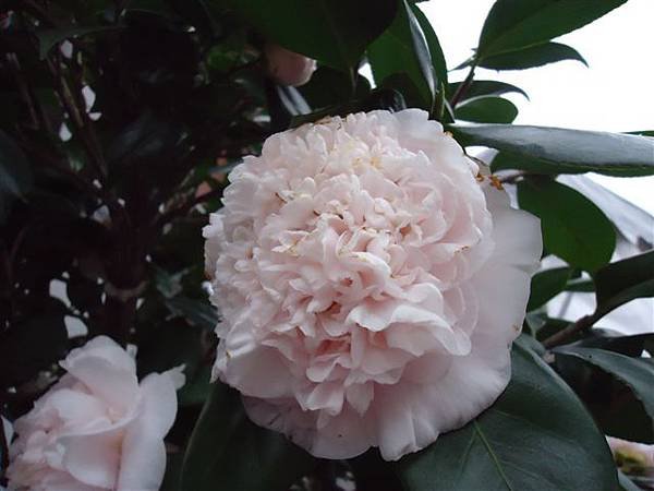 DSC02640.JPG